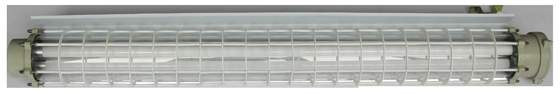 Ex Db Eb IIC T6 Gb/Ex Tb IIIC T80C Db 600mm الضوء الفلوريسنتي المقاوم للانفجار للمنطقة 1 2 فئة السلامة II