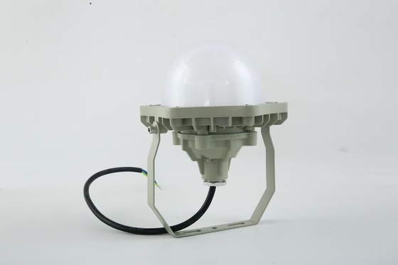 ضوء 100 واط مضاد للانفجار AC220V 50/60Hz IP66 مع 70±2CRI تصميم جديد أفضل منتجات مبيعات ورشة عمل الأسعار
