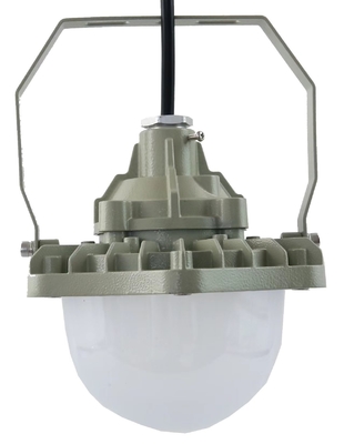 ضوء 100 واط مضاد للانفجار AC220V 50/60Hz IP66 مع 70±2CRI تصميم جديد أفضل منتجات مبيعات ورشة عمل الأسعار