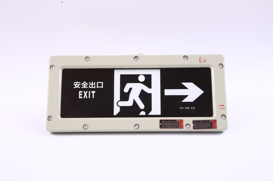 BYY-3w-IP65 ضوء الطوارئ المقاوم للنيران 120 دقيقة LED 220VAC 24/36VDC 3000/4000/5000/5700K