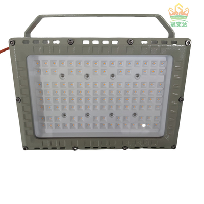 50W 100W 200W 250W مضاد للانفجار مصباح LED للفيضانات معتمد ATEX IECEx RoHS CNEX ISO9001