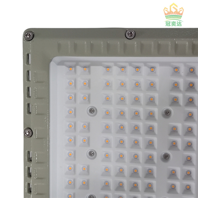 MEANWELL Drive IP66 ضوء الفيضانات LED للخارج لون مخصص 100-277V السوق 100W