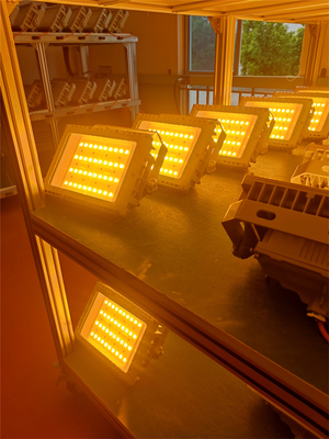 50W 100W 200W 250W مضاد للانفجار مصباح LED للفيضانات معتمد ATEX IECEx RoHS CNEX ISO9001