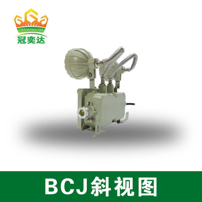 ضوء الطوارئ المقاوم للنيران على الحائط / السقف مع الألومنيوم من الدرجة البحرية و 2 * 3 واط