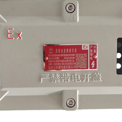 ضوء طوارئ مضاد للانفجار معتمد من ATEX - إضاءة LED آمنة وصغيرة الحجم للبيئات الصناعية الخطرة