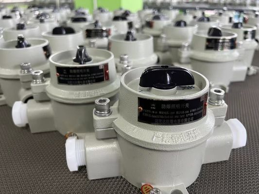 220 فولت / 380 فولت جهاز تحديد الكهرباء ضد الانفجار مع WF2 منطقة رمادية 22