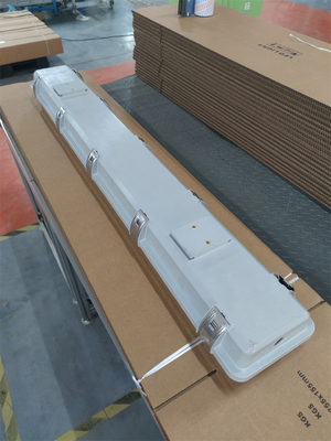2 * 36W ضوء فلوروسنتي مضاد للانفجار IP66 WF2 مستوى الحماية IECEx المعتمد للمنطقة1 2 المنطقة21 22 البيئة الخطرة