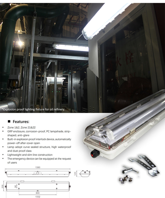 IP66 Explosion Proof Fluorescent Lighting with ATEX/IECEx | Ceiling, Wall & Pendant Mount for Hazardous Sites