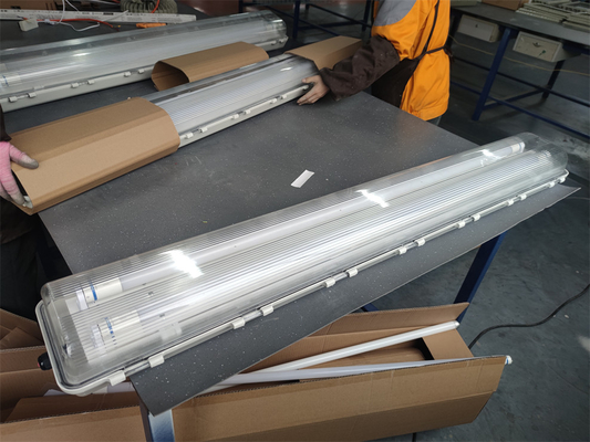 Durable Energy Saving ATEX & IECEx Certified Flameproof Fluorescent Light | Industrial Linear Lighting for Explosive Gas & Dust Environments