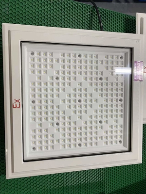 ضوء الفيضانات LED مضاد للانفجار مع مصباح الكرنب CREE و 50-240Watt
