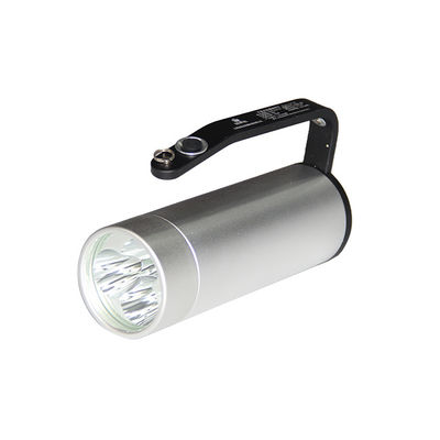 Portable Mode Explosion-Proof LED Fixture Ex Mark Ex Tb IIIC T85°C Db IP66 for Hazardous Environments