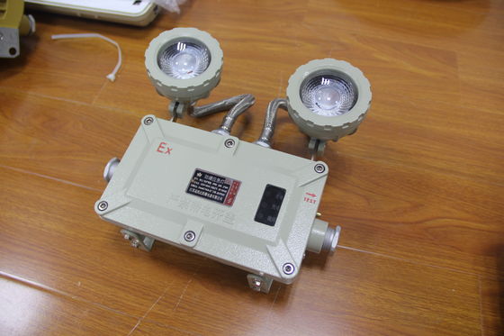 ATEX Explosion-Proof 2*3W LED Emergency Light IP66 Explosion-proof Gas Station Double Headlight 220V 380V