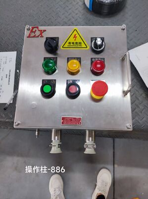 صندوق توصيل مقاوم للانفجار من الفولاذ المقاوم للصدأ مع فتحات قابلة للتخصيص M/G/NPT Exd II C T6 Gb Ex-Mark