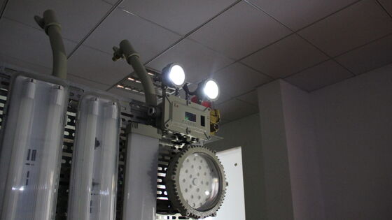 الطوارئ الحريقية BCJ IP66 إضاءة مضادة للانفجار مزدوجة LED إضاءة الطوارئ 180 دقيقة