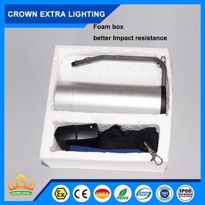 إضاءة LED مقاومة للانفجار بقوة 100 واط، بما في ذلك وقت طوارئ لمدة 16 ساعة، مصدر ضوء LED مناسب للمواقع الخطرة