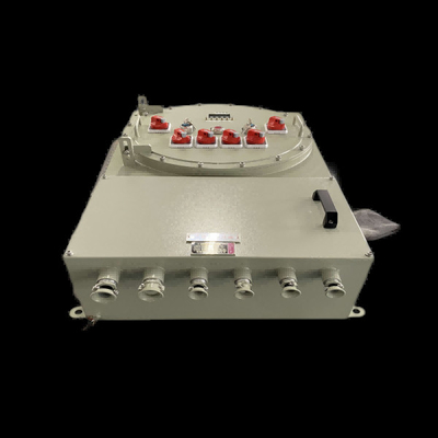 الصندوق المثبت على الحائط ضد الانفجار مع AC220V / 380V